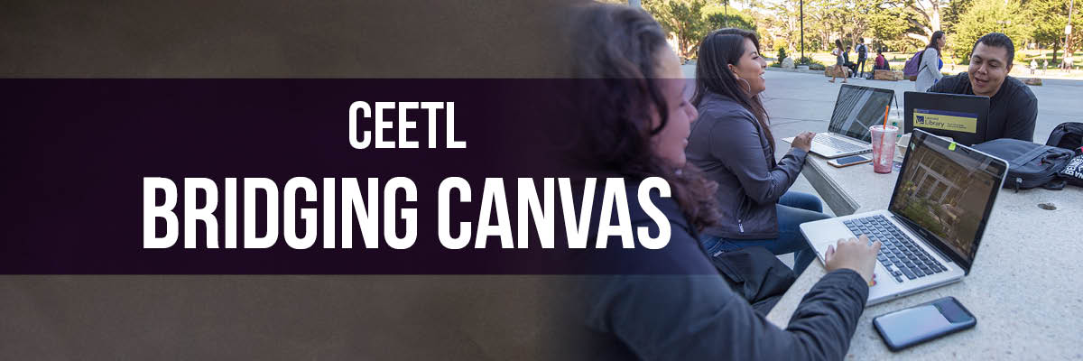 Banner Bridging Canvas CEETL Course