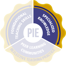 PIE-Slice-Specialized Knowledge